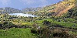New owners confirmed for Wales CRC